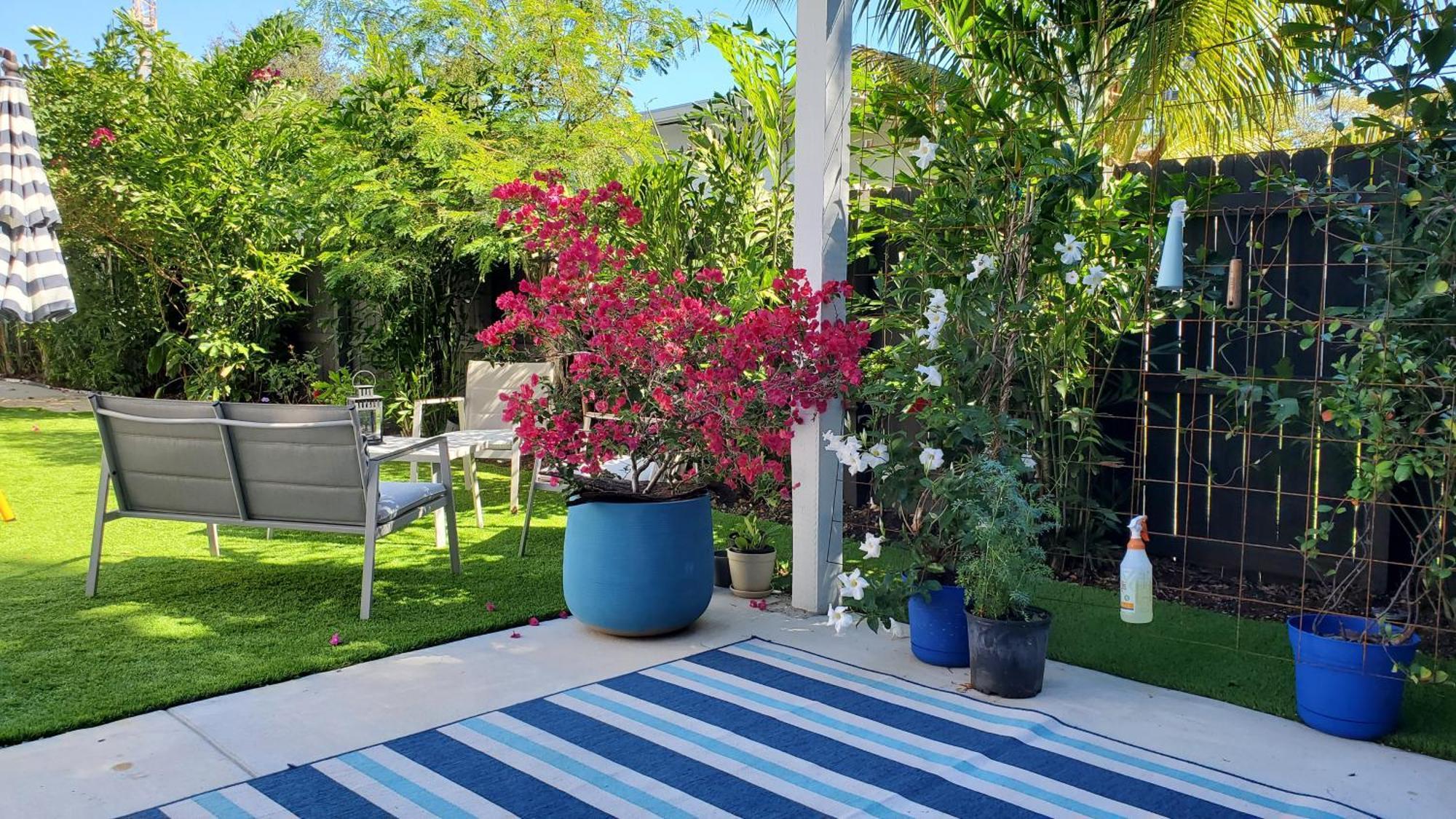 מיאמי Casa Cuba In Little Havana, Brickell, Calle 8 And 10 Minutes To The Beach Free Parking מראה חיצוני תמונה